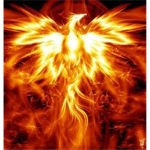 Phoenix Records®
