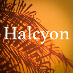 *Halcyon*