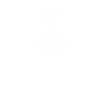 TOP X CHASE+*!