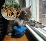 C.A. (Cat Army