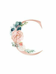 ._SweetieCherryni