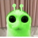 FLOPPASFORLIFE