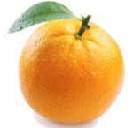 OrangeStudioIS