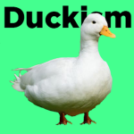 Duckism Church