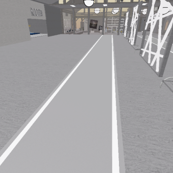 Diamond Kiwi's Gymnasium [NEW UPDATE]
