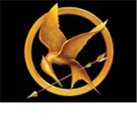 2013 hunger games