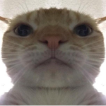 Yes :thumbs_up:
