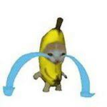 BANANA CAT E APPLE CAT