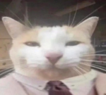 the memetary