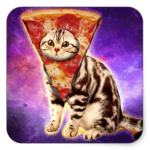 los gatos comen pizza