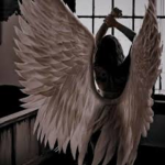 Angelic Dynasty (AD)