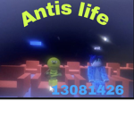 antis life