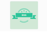 B.S.S Offcial.