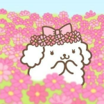 Misa's diary