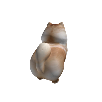 pomeranian