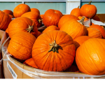 Hazmat & Pres RP Pumpkin Gang