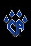 Sassy Wildcats Cheerleaders!