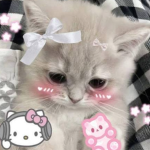 •Vixy•