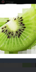 Kiwi katze
