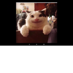 Hey guys uhm.... Just chat I don't care at all.
