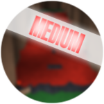 Medium Obby