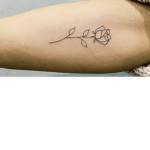 Scarlett ty