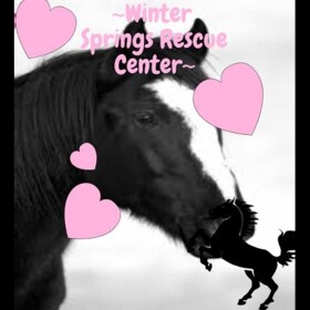 ~Winter Springs Horse Rescue~