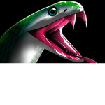 python's