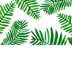 The Palm Clothing