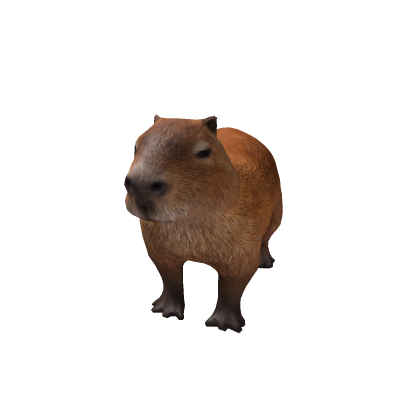 Capybara