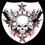 SAS Aariel Division
