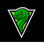 Skin Skillas