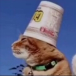 —Noodles—