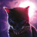 Night time cats