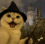 Hogwarts Squad