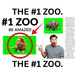 The #1 ZOO!!!