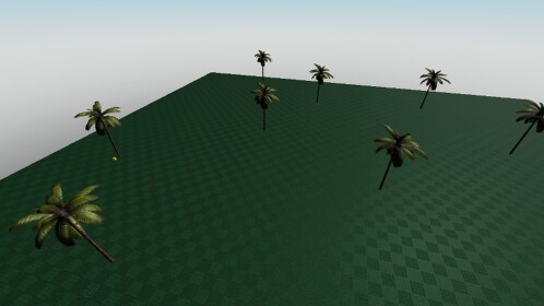 Palm Beach Fight!