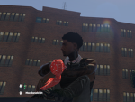 Misfits of brookhaven