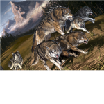 United Wolves