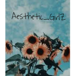 ~Aesthetic_GirlZ~