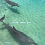 blue matter