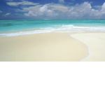 Let's Relax and have fun in ROBLOX!