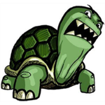 McTurtle Studio