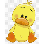Mr ducky!
