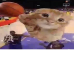 Ballincat43 group