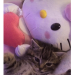 -ivory<3-