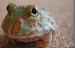 My new account iiLeafean