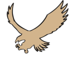 Falcon Apparel®