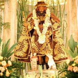 BISITA NI SAN ROQUE  icon