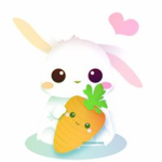 Official Team Bunny